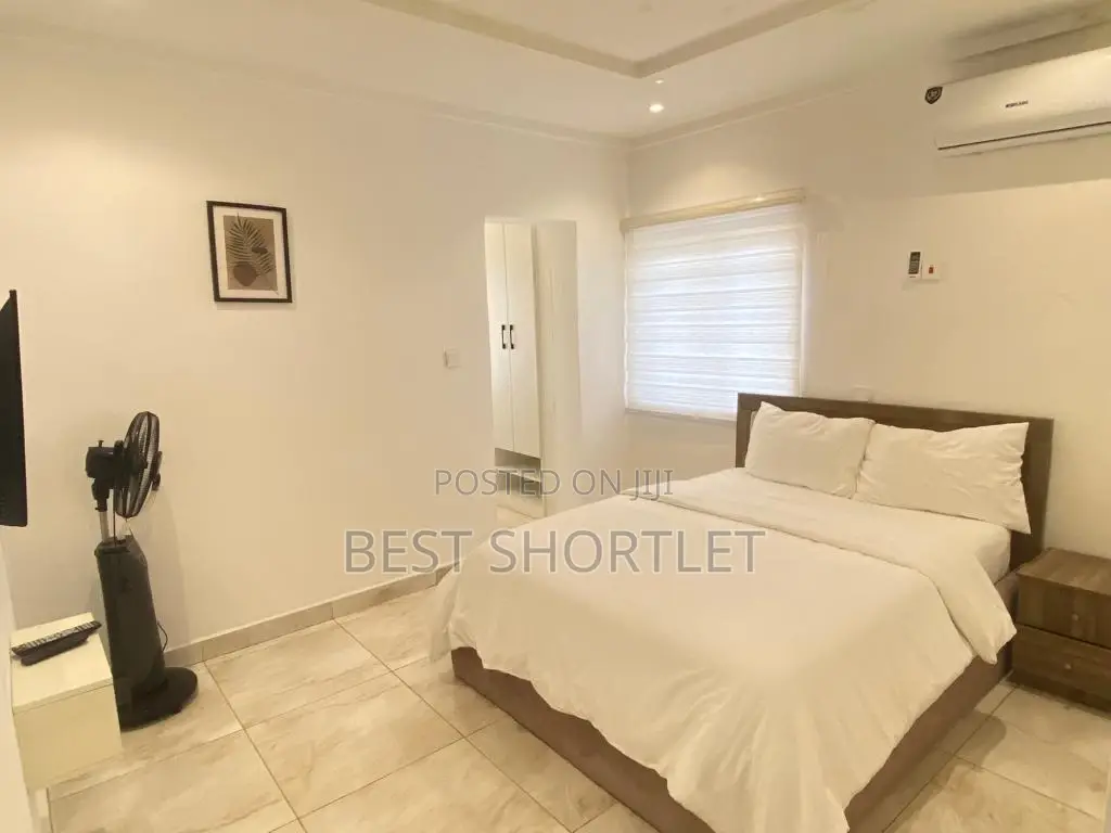 Lavishly Furnished 2 Bedroom Apartment in Wuye