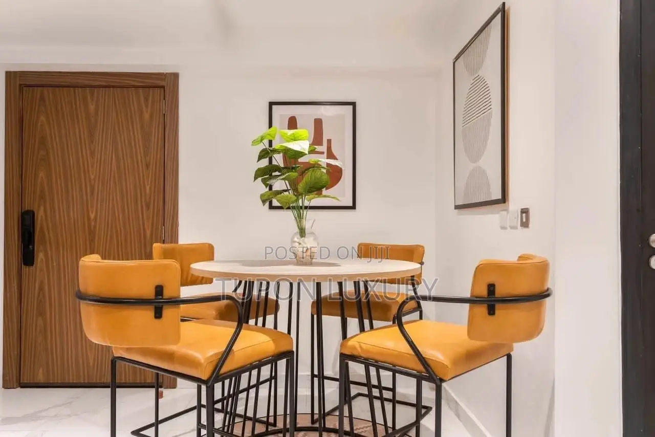 Beautiful 2-Bedroom With Gym in VI(Iconic Tower) in Victoria Island