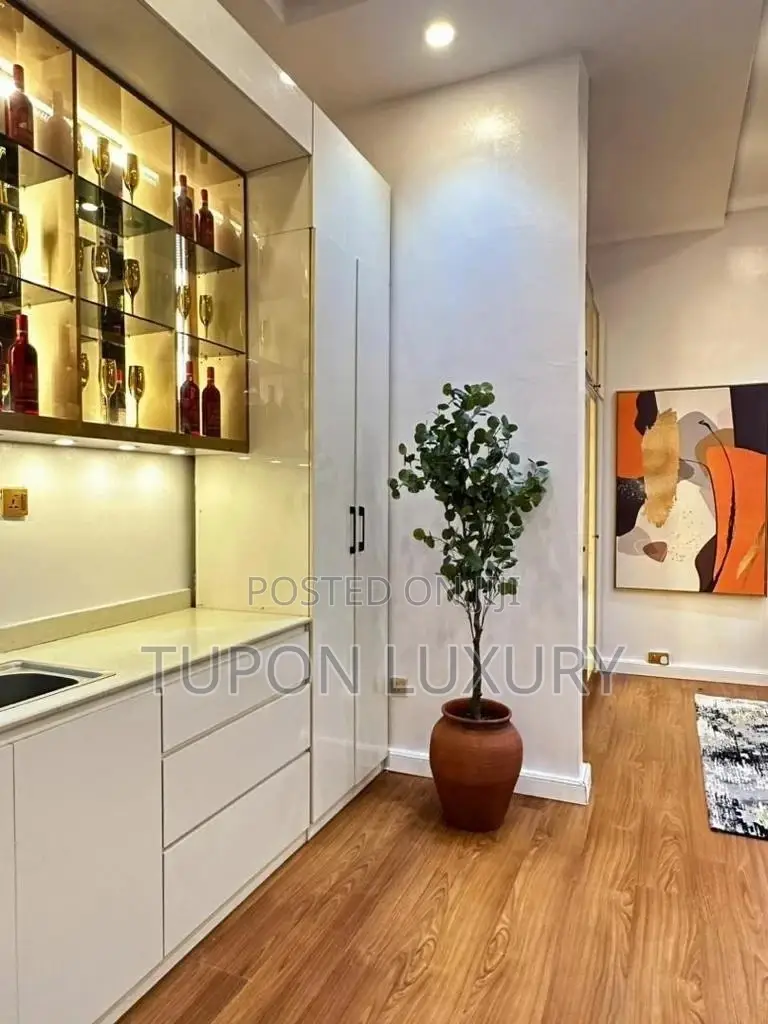 Tastefully Furnished and Spacious Studio Apartment in Osapa london