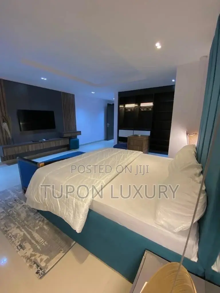 Newly Furnished 3 Bedroom Apartment With Gym in Banana Island