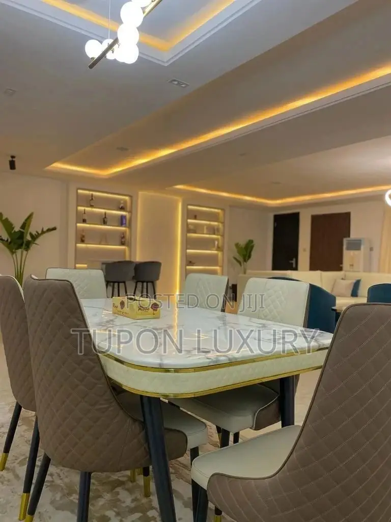 Newly Furnished 3 Bedroom Apartment With Gym in Banana Island