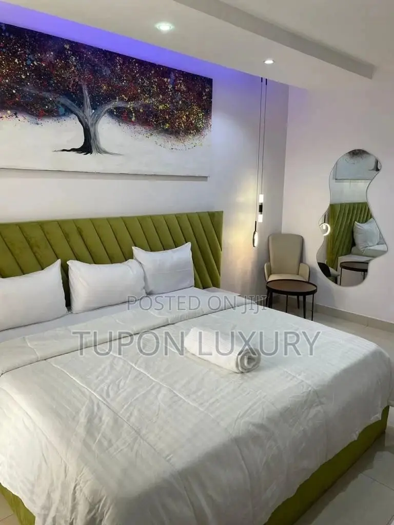 Luxury 2-Bedroom Apartment in Lekki Phase 1 in Lekki Phase 1