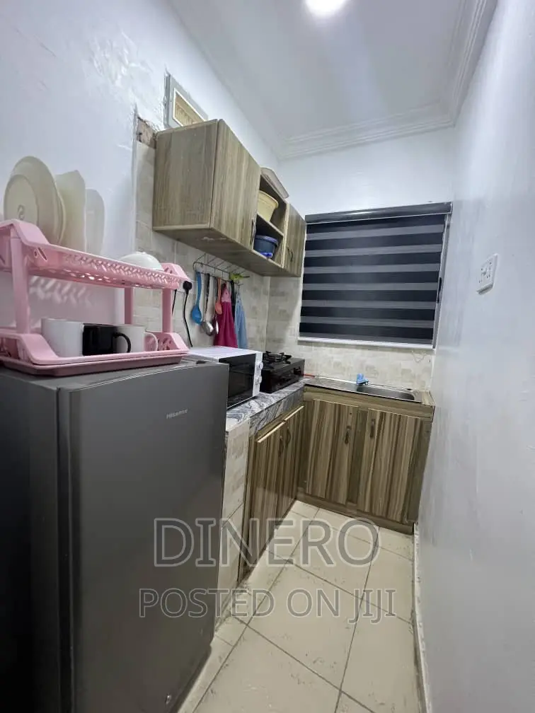 Dinero Coral Mini Flat in Ogunlana