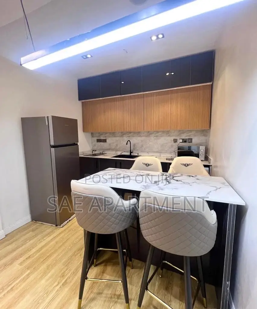 Exquisite One Bedroom Apartment- Maitama Abuja in Maitama
