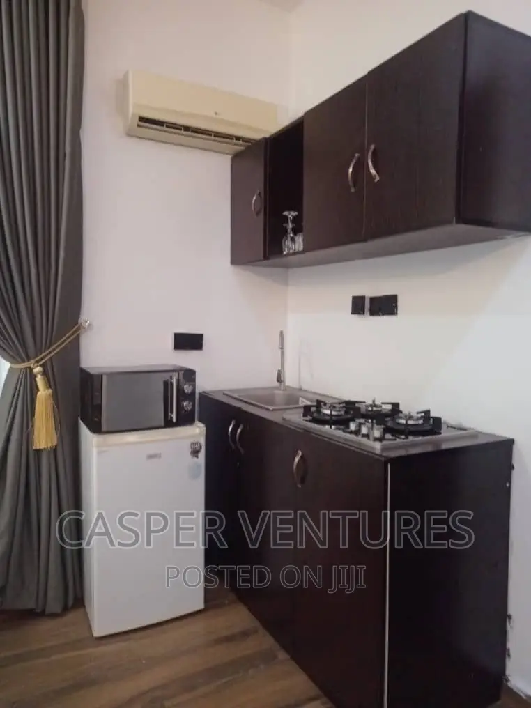 Magical and Captivating Studio Apartment in Osapa london
