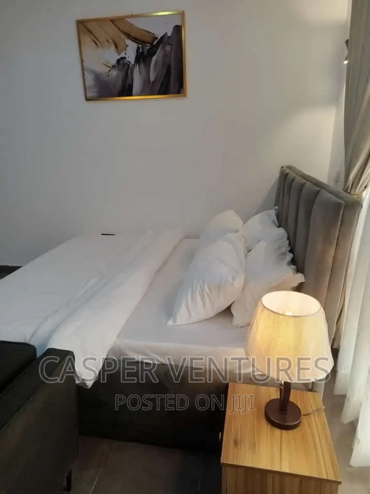 Glamorous and Stylish Apartment in Osapa london