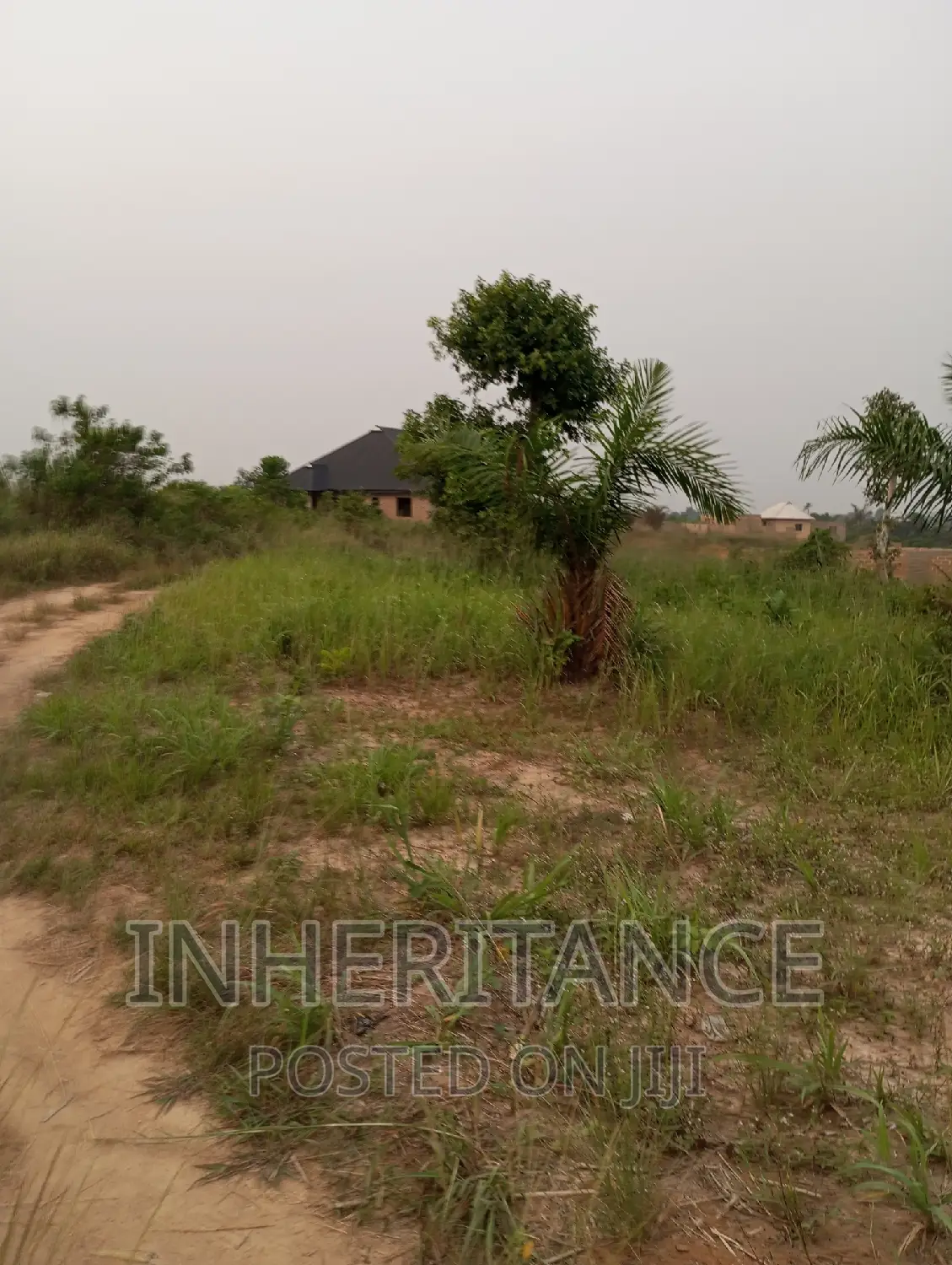 Pieces of Land in Agric