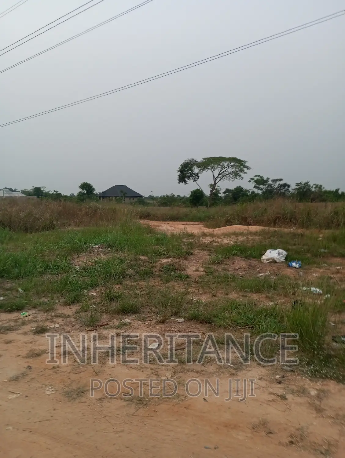 Pieces of Land in Agric