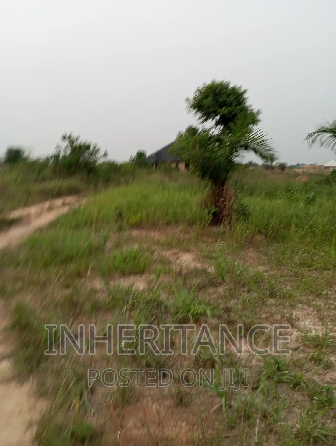 Pieces of Land in Agric