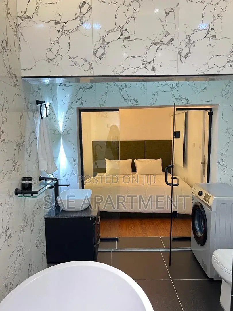 Well Furnished One Bedroom Apartment- Ikate Lekki Lagos in Ikate