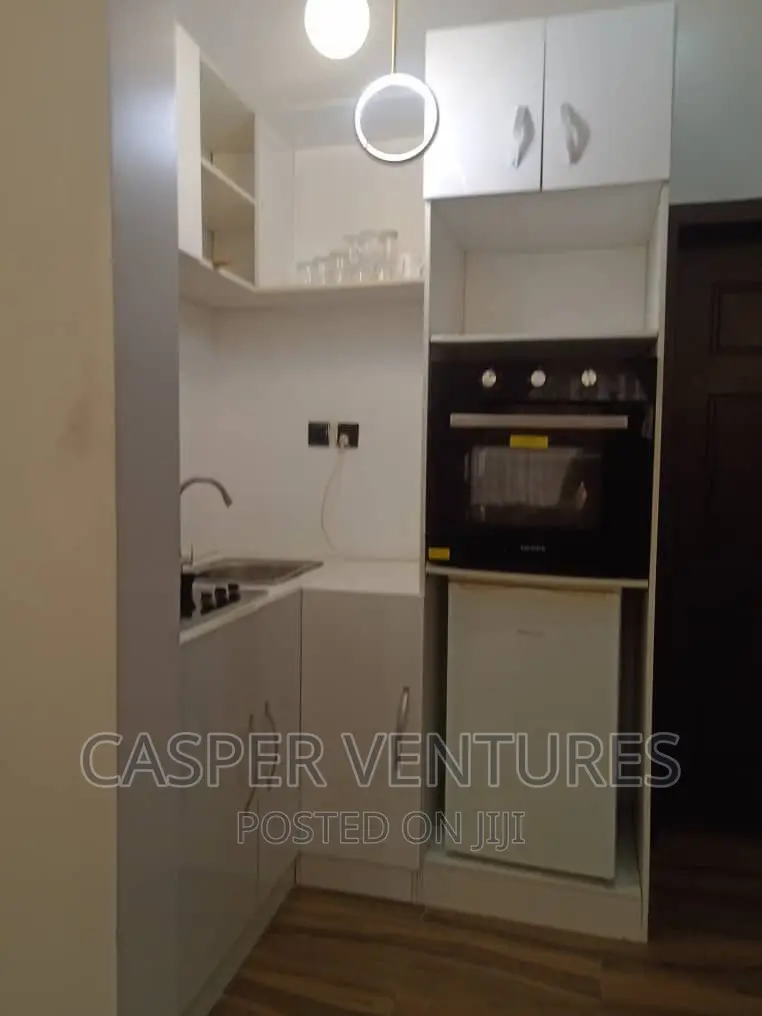 Spacious and Fancy Studio Apartment in Osapa london