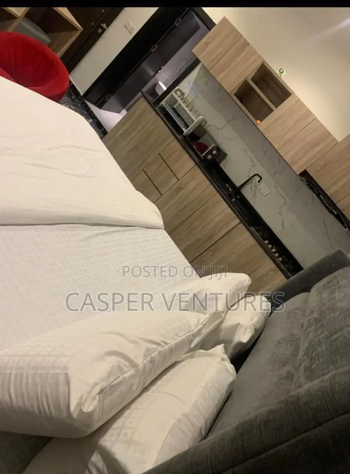 Colorful and Enchanting Apartment in Lekki Phase 1