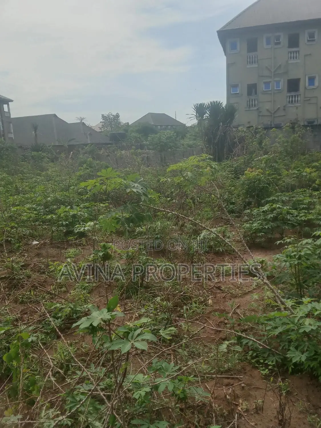 A Total of One Plot of Land Already Surveyed for Sale in Owerri