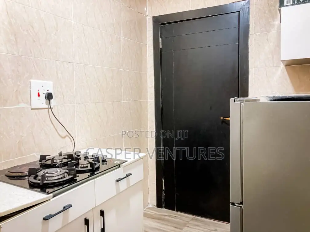 Colorful and Ecstatic Apartment in Lekki Phase 1