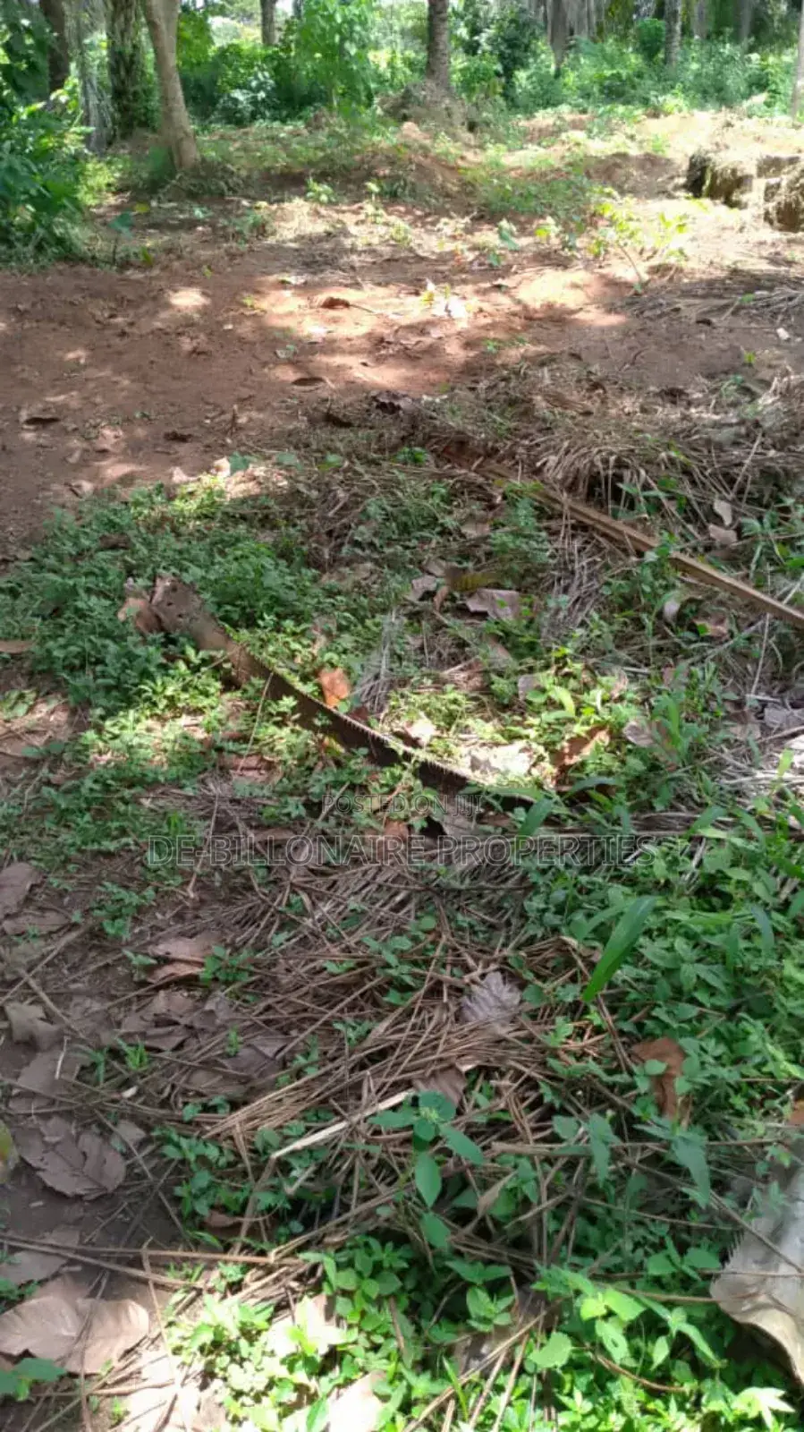 Buy and Build Distress Sale One Plot at Off Ph Rd Owerri in Owerri