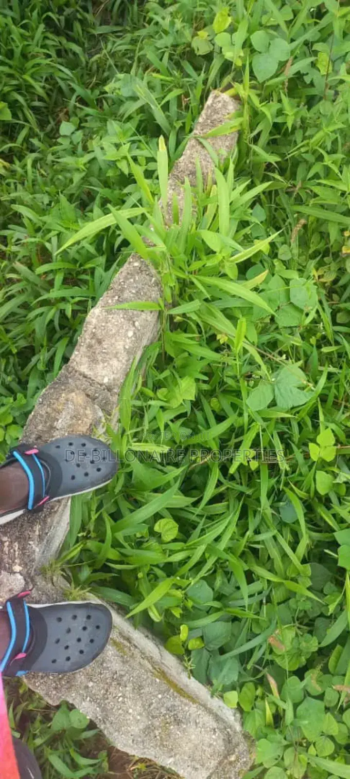 Shareable 13 Plots at Back of Akachi Estate /Empire Filling in Owerri