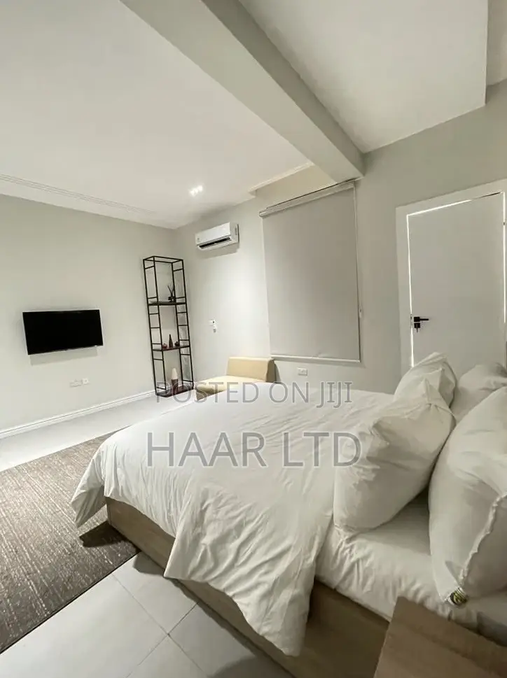 Luxury and Spacious 2bedroom With a Pool and Gym in Lagos Island / Lagos Island