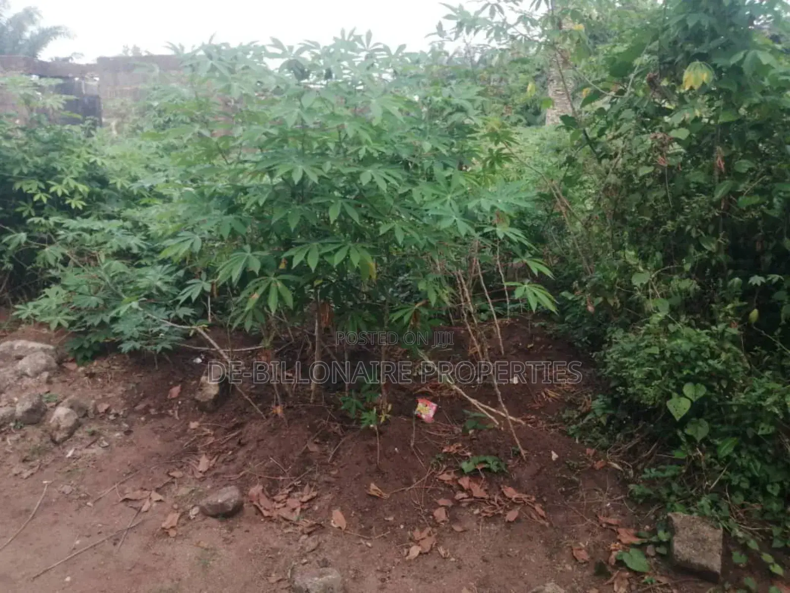 One Plot of Land for Sale at Owaelu Uratta Orji, Owerri in Owerri