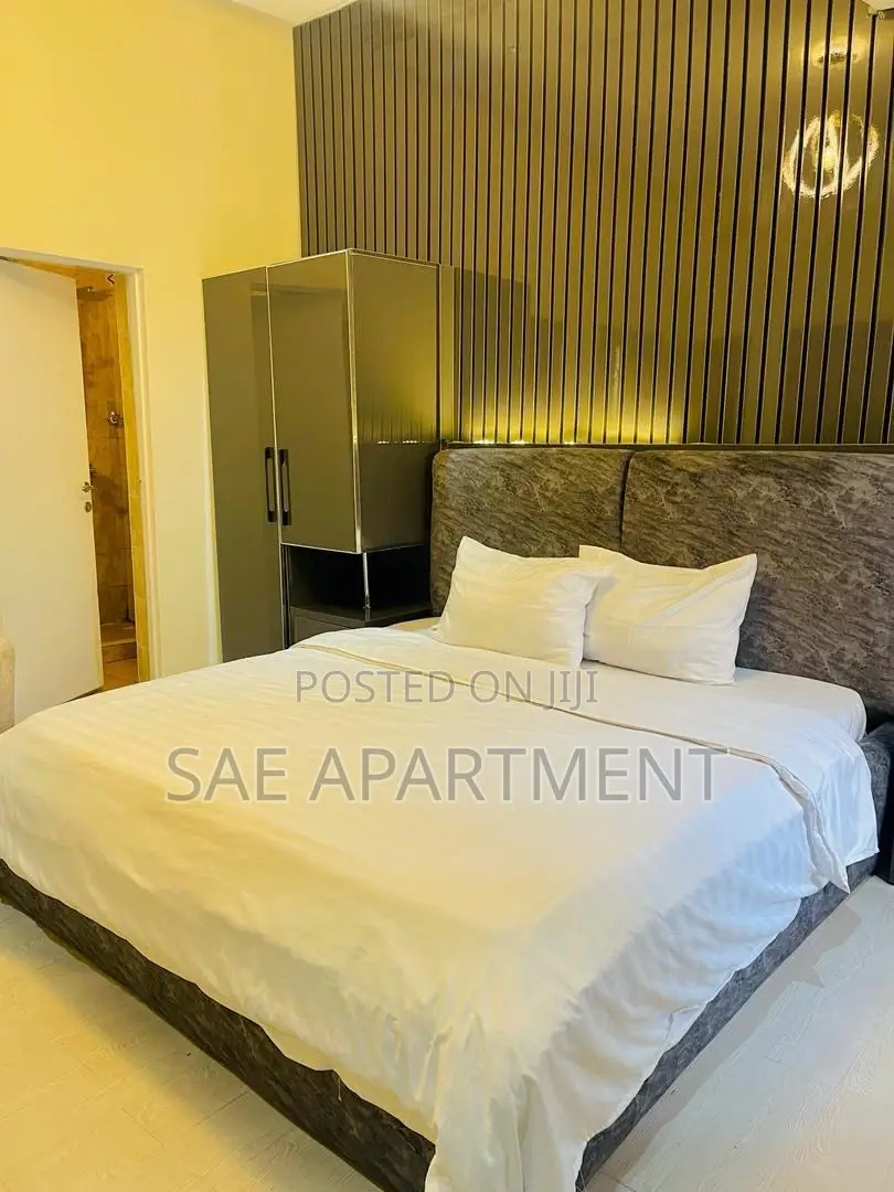 Charming Studio Apartment, Wuse 2 Abuja in Wuse 2