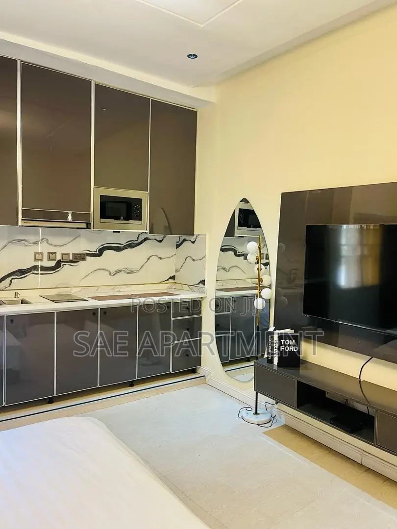 Charming Studio Apartment, Wuse 2 Abuja in Wuse 2