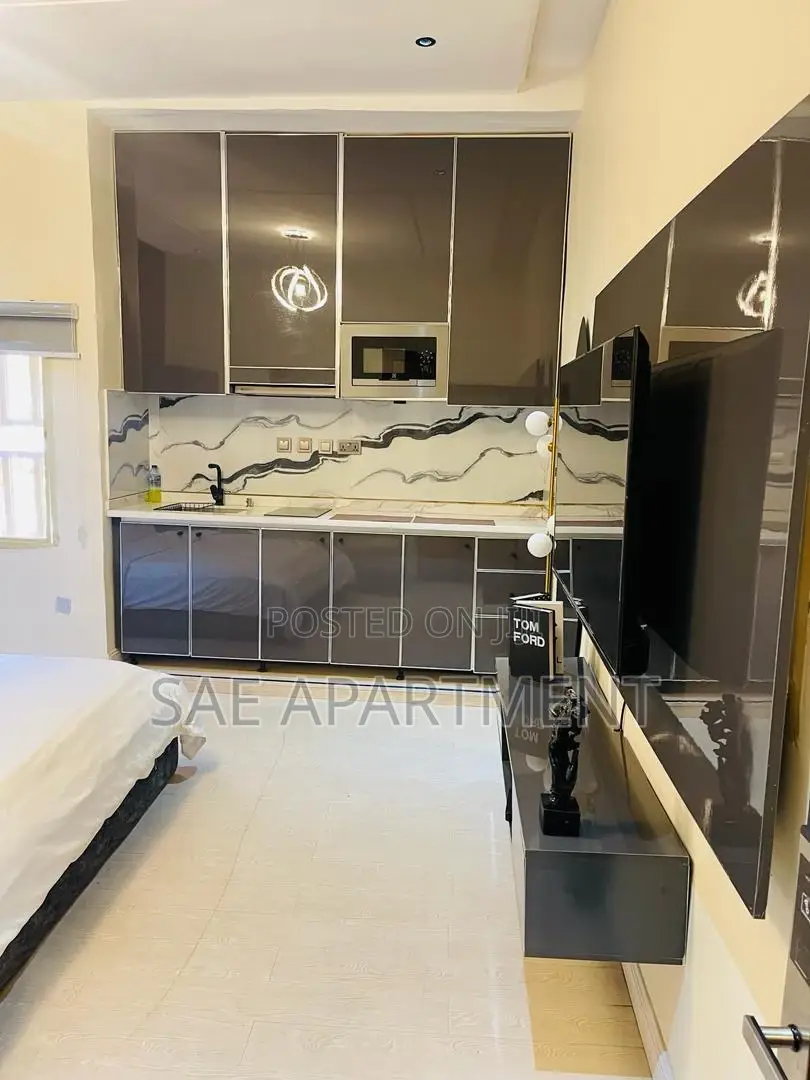 Charming Studio Apartment, Wuse 2 Abuja in Wuse 2