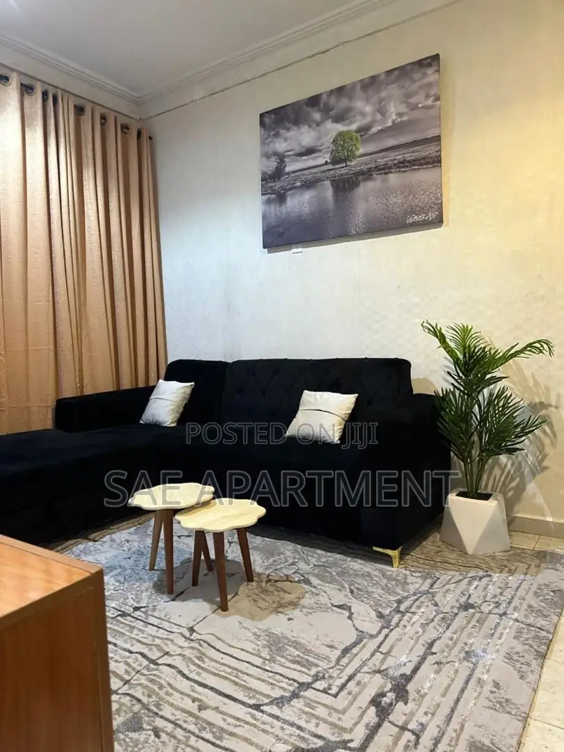 Monthly One Bedroom, Wuse 2 Abuja in Wuse 2