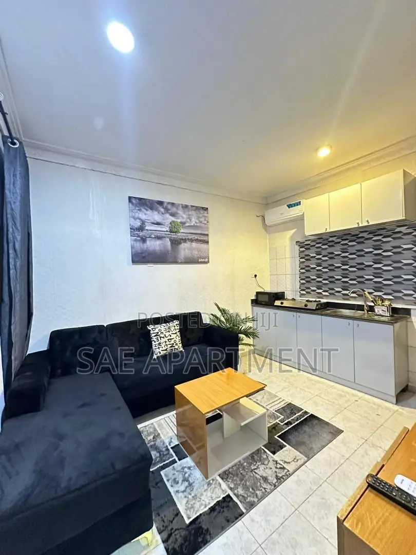 Monthly One Bedroom, Wuse 2 Abuja in Wuse 2
