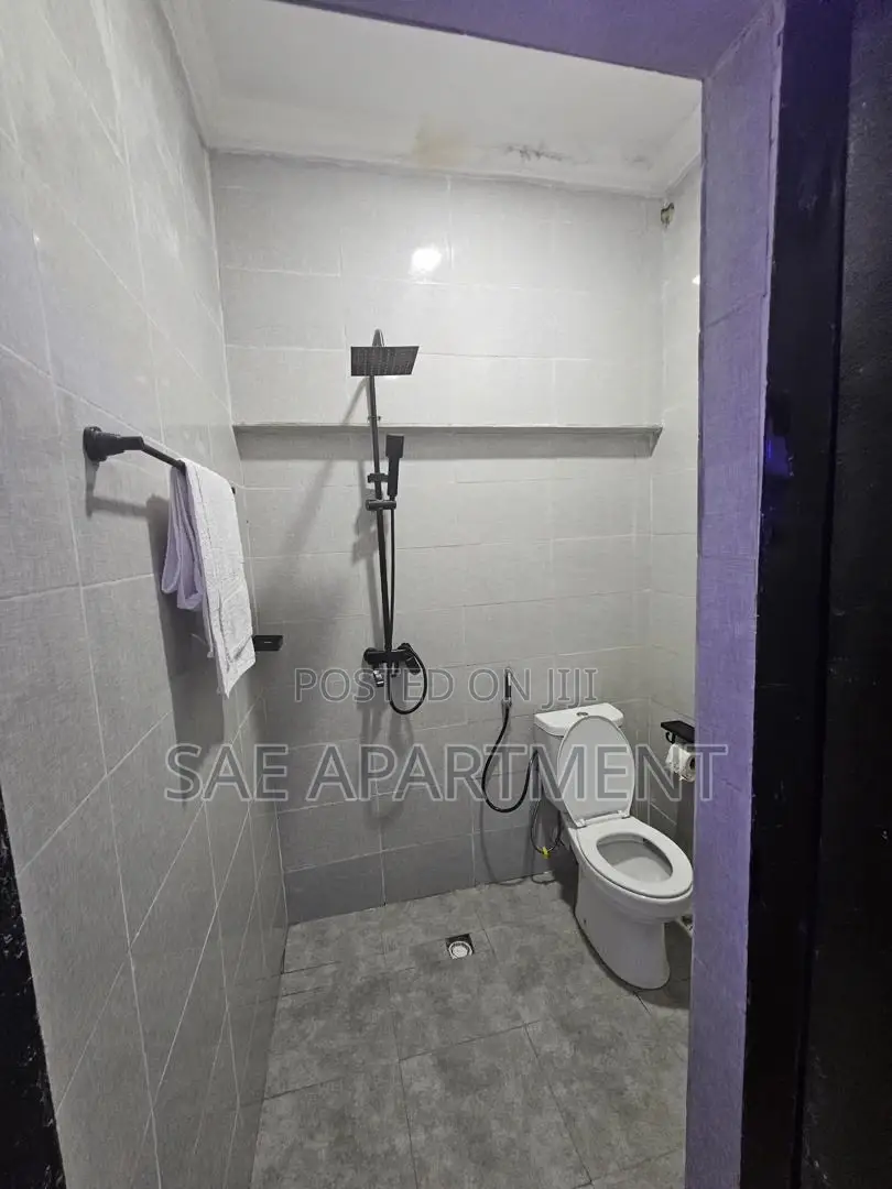 Monthly One Bedroom, Wuse 2 Abuja in Wuse 2