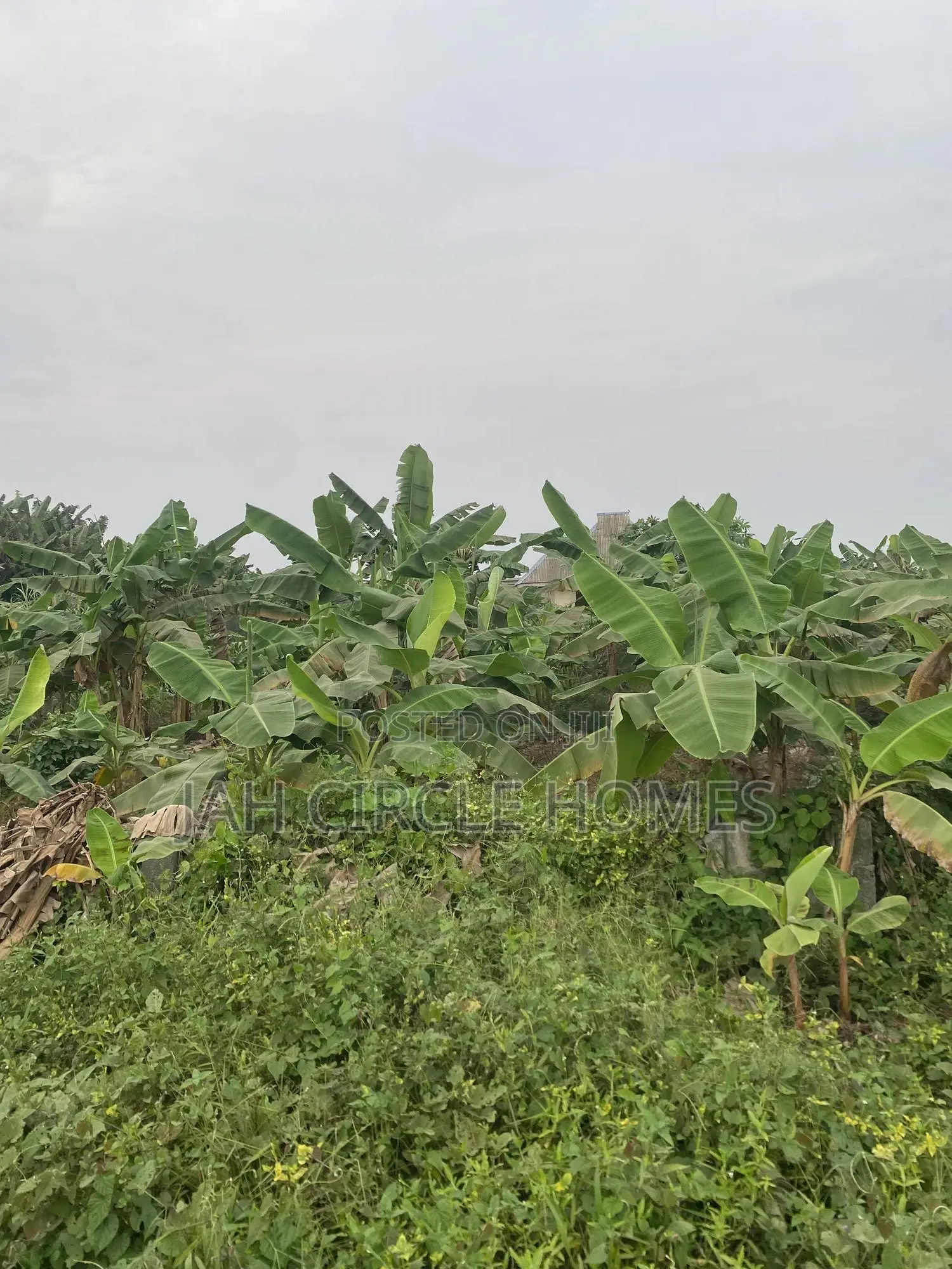 A Plot of Land at Banana Phase 2 Karpo Ijede Ikorodu in Ijede / Ikorodu