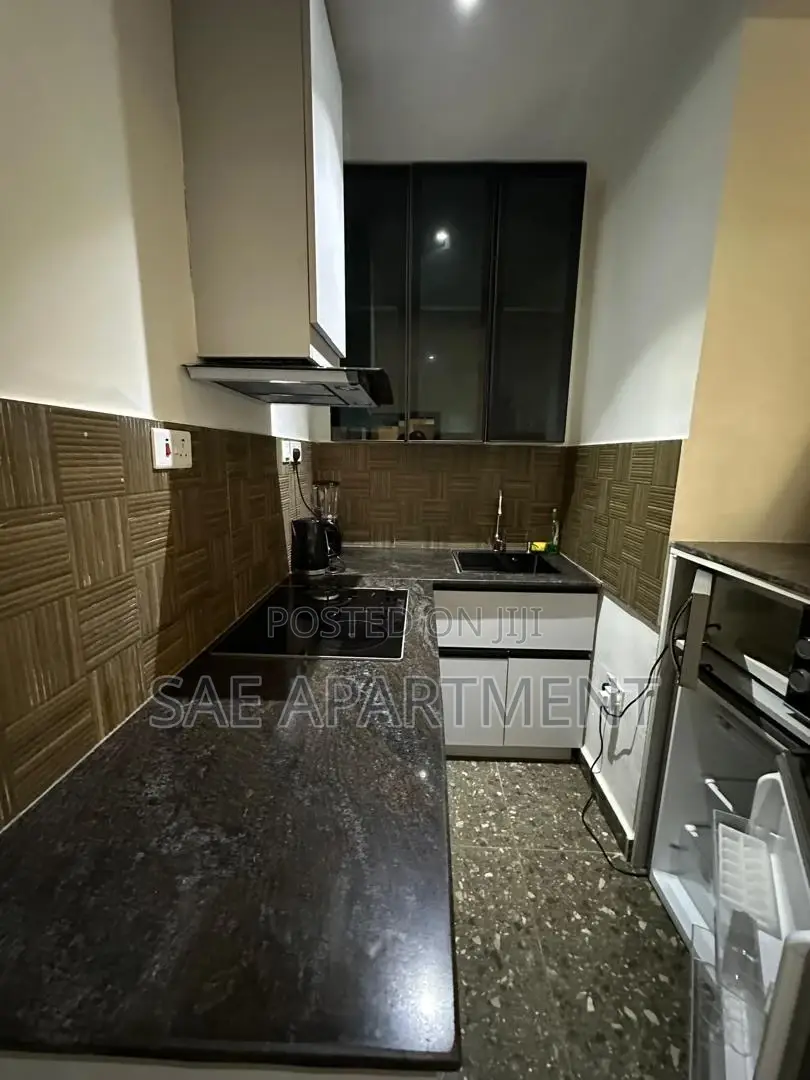 Ikoyi Lagos One Bedroom Apartment. in Ikoyi