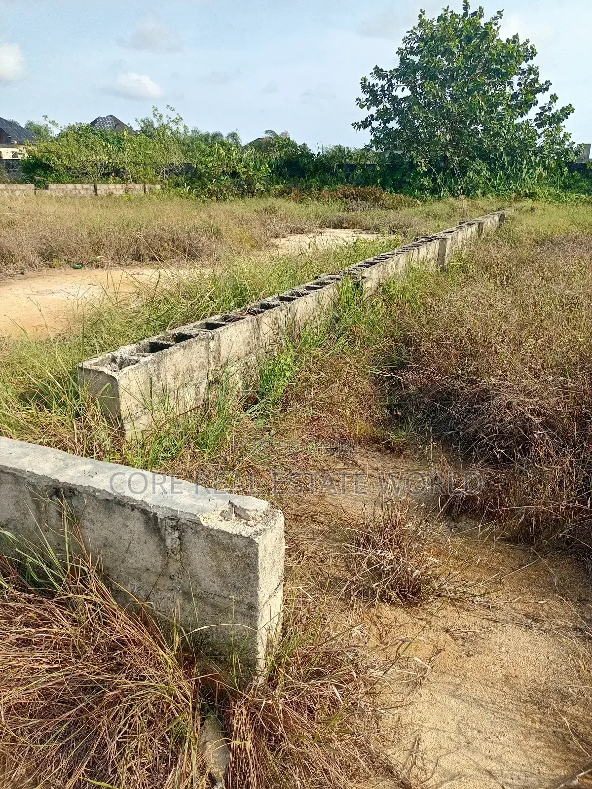 Affordable Land, Palm Grove, Otuoke Rd Bayelsa in Yenagoa