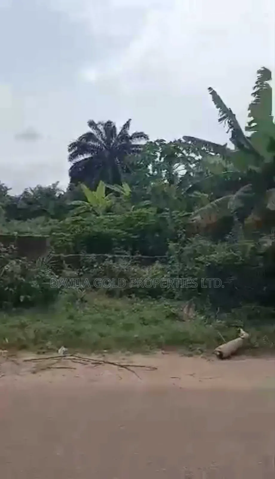 An Exquisite Land for Sale in Benin City