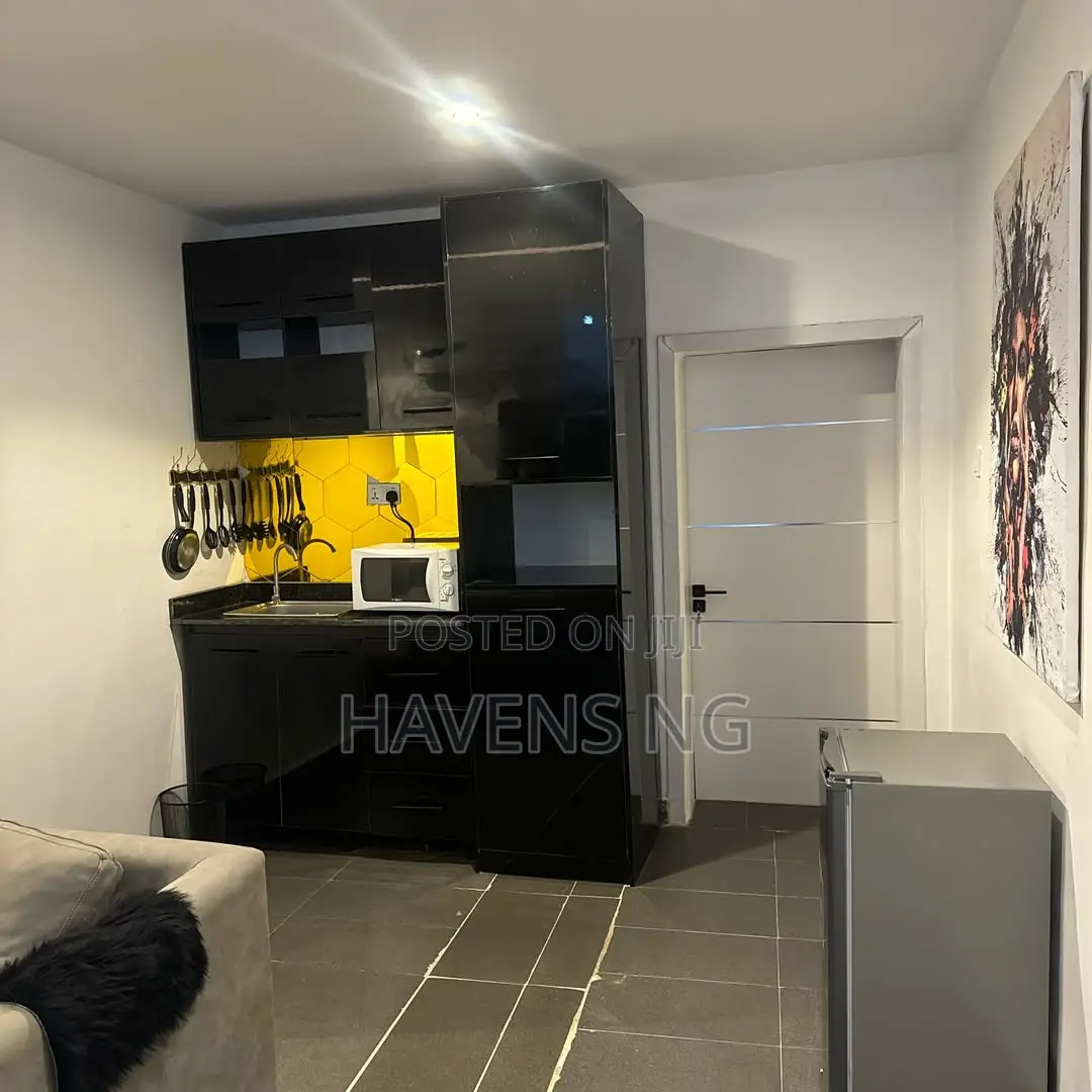 Fully Serviced 2-Bedroom Luxury Apartment in Wuse 2