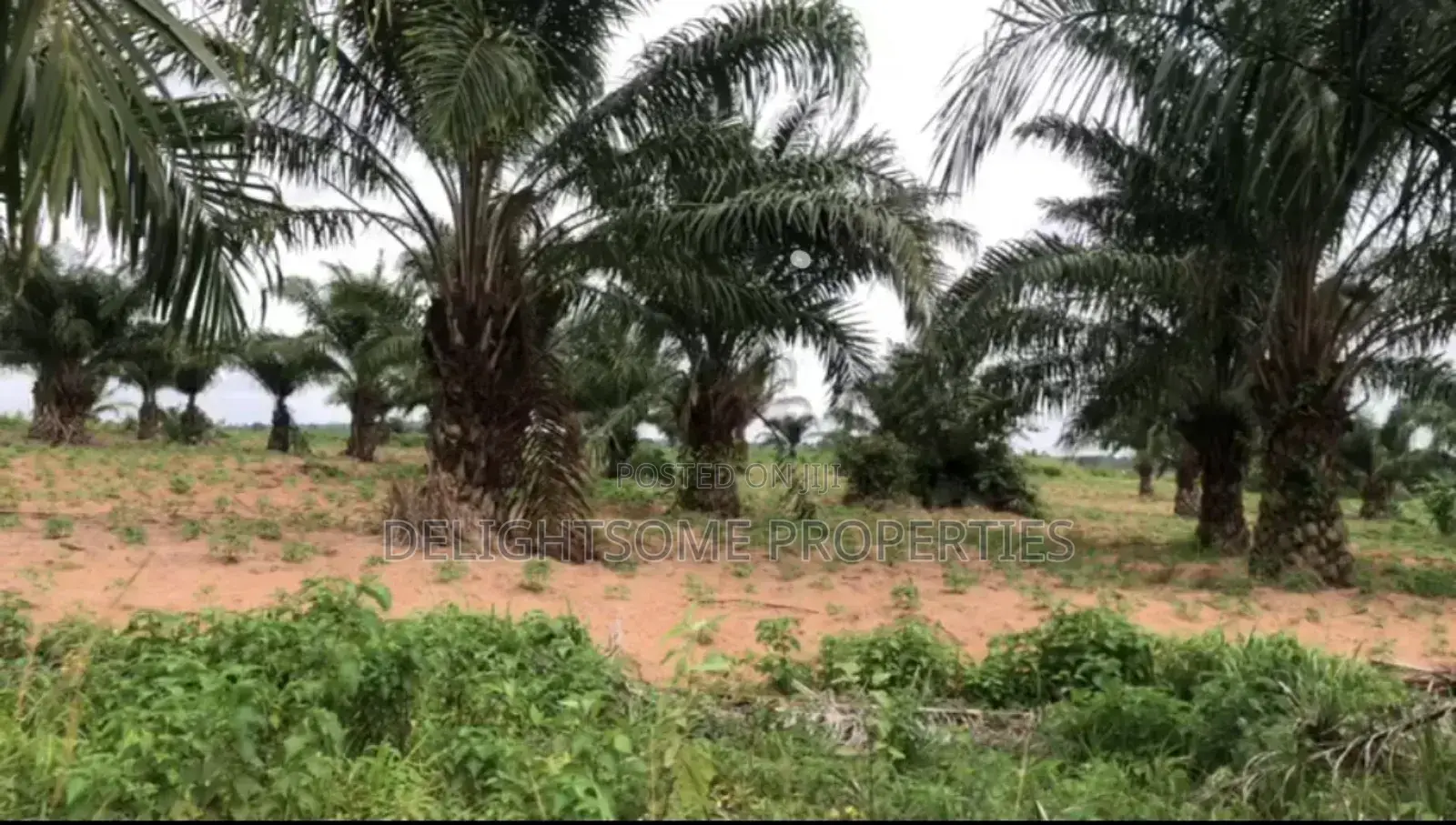For Sale 220 Acres of Land in Ori Ire