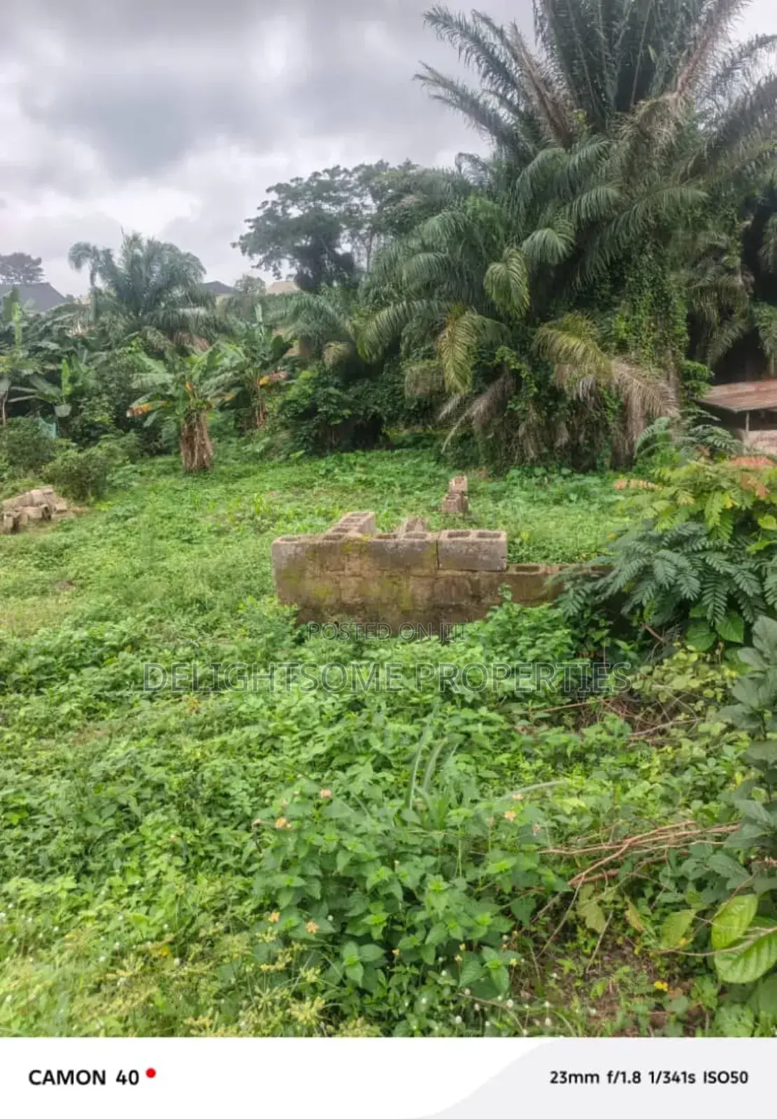 For Sale 220 Acres of Land in Ori Ire