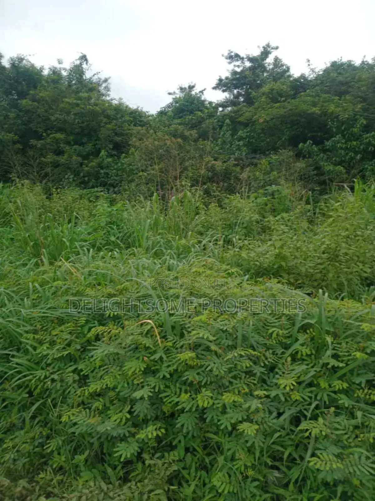 For Sale. 750 Acres Of Land At Oriire Lg in Ori Ire