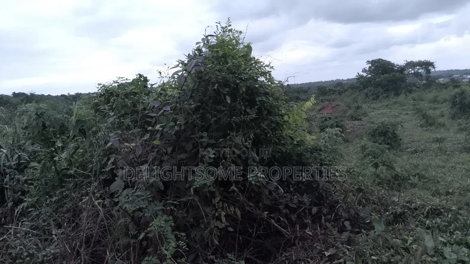 For Sale. 750 Acres Of Land At Oriire Lg in Ori Ire
