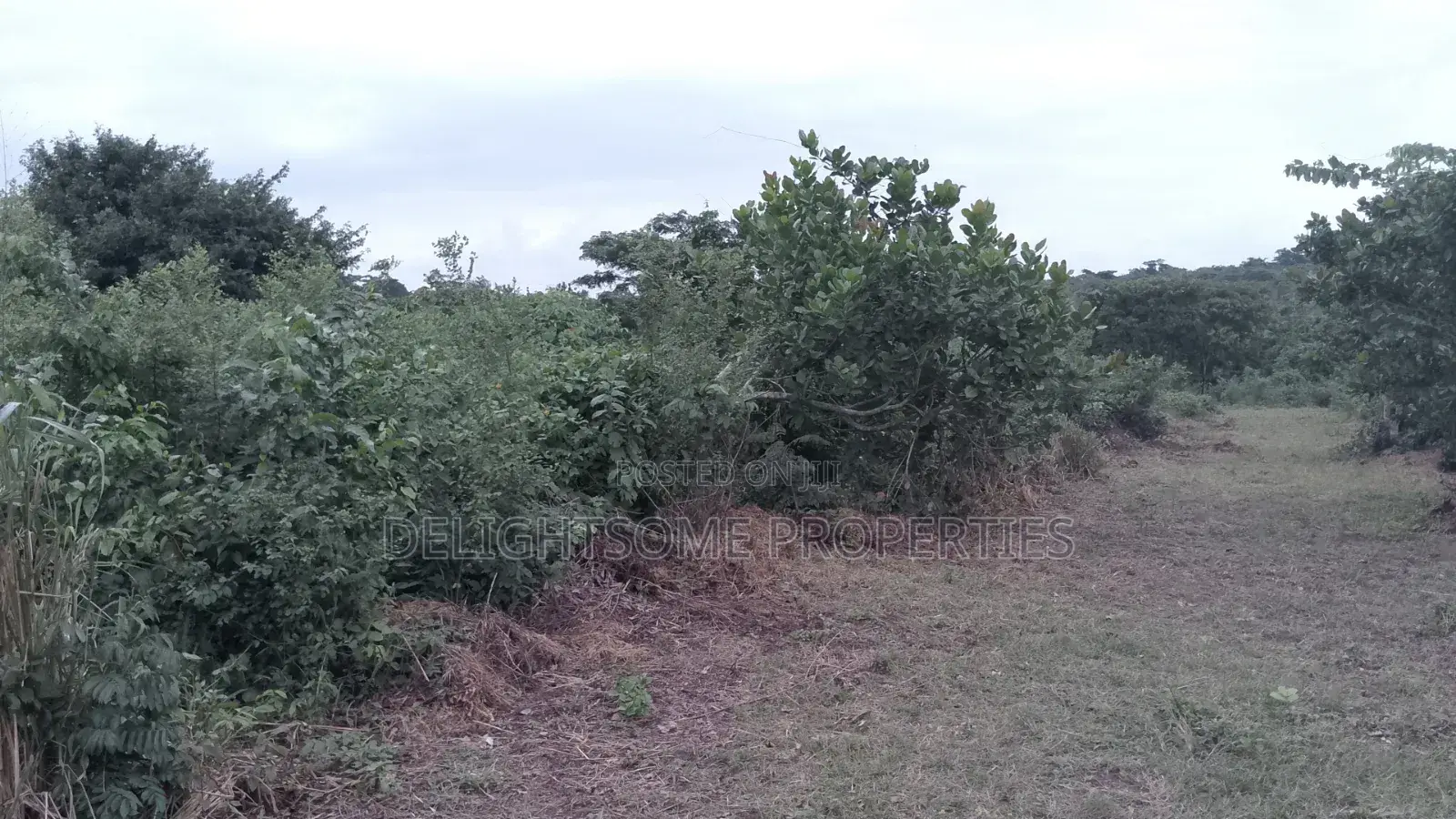 For Sale. 750 Acres Of Land At Oriire Lg in Ori Ire