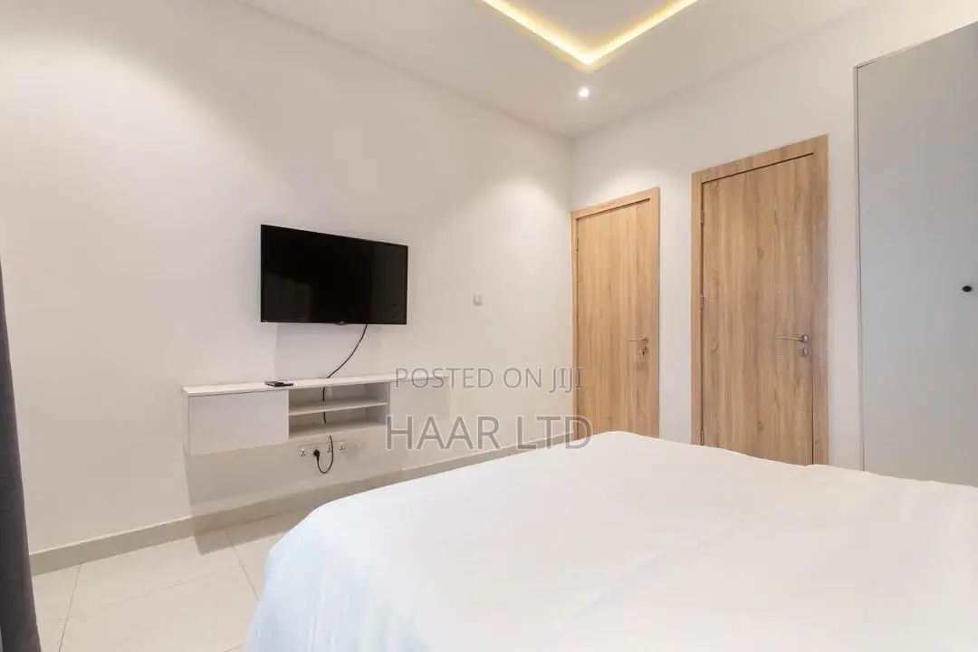 Beautiful and Luxurious 2 Bedroom Apartment in Lekki Phase 1