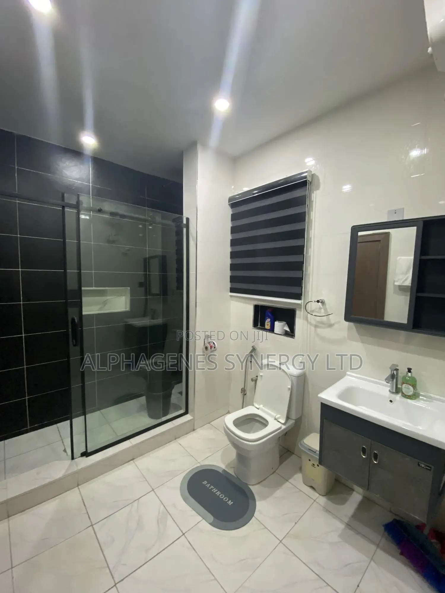 2 Bedroom Luxury Apartment in Asokoro
