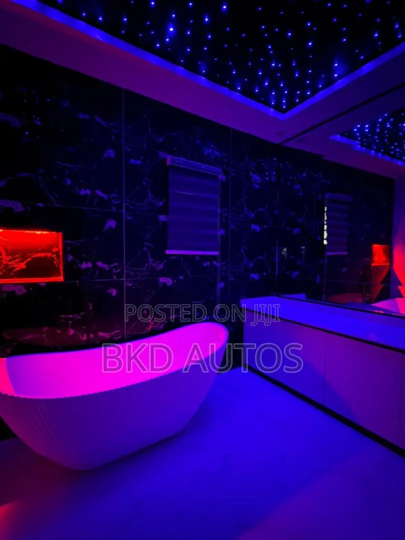 2 Bedroom Apartment With Cinema, Bathtub and Bath Lounge in Osapa london