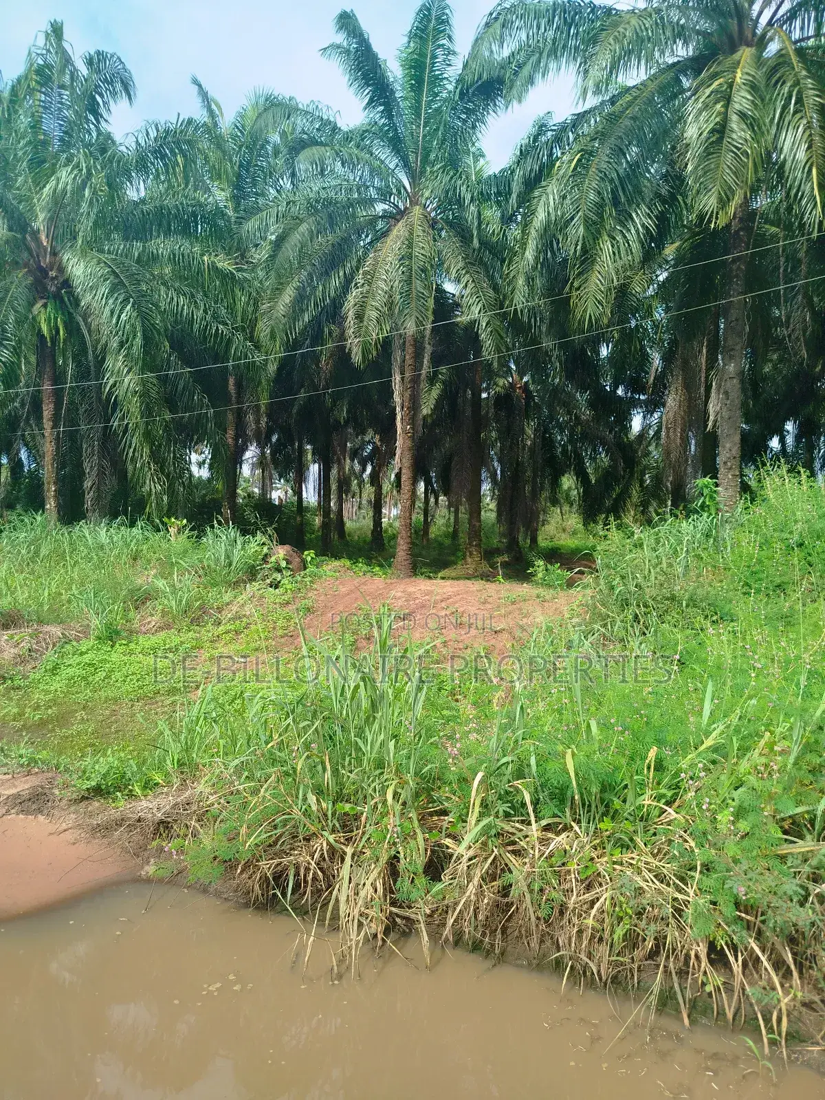 One Standard Plot of Land for Sale at Avu Owerri. in Owerri