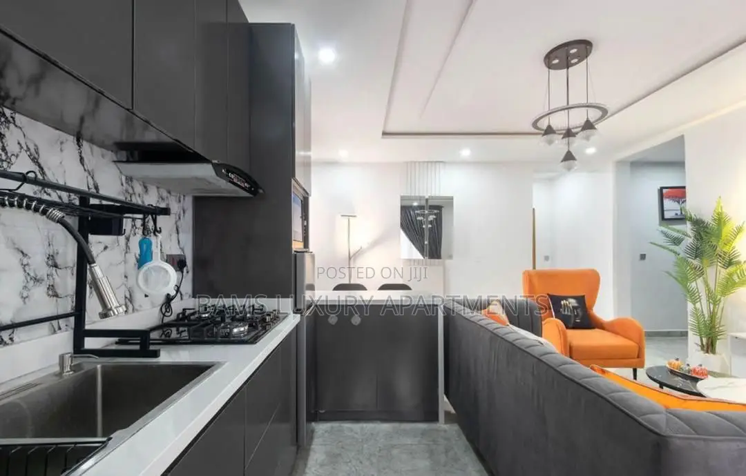 Nice and Neat One Bedroom Shortlet at Ikate in Ikate