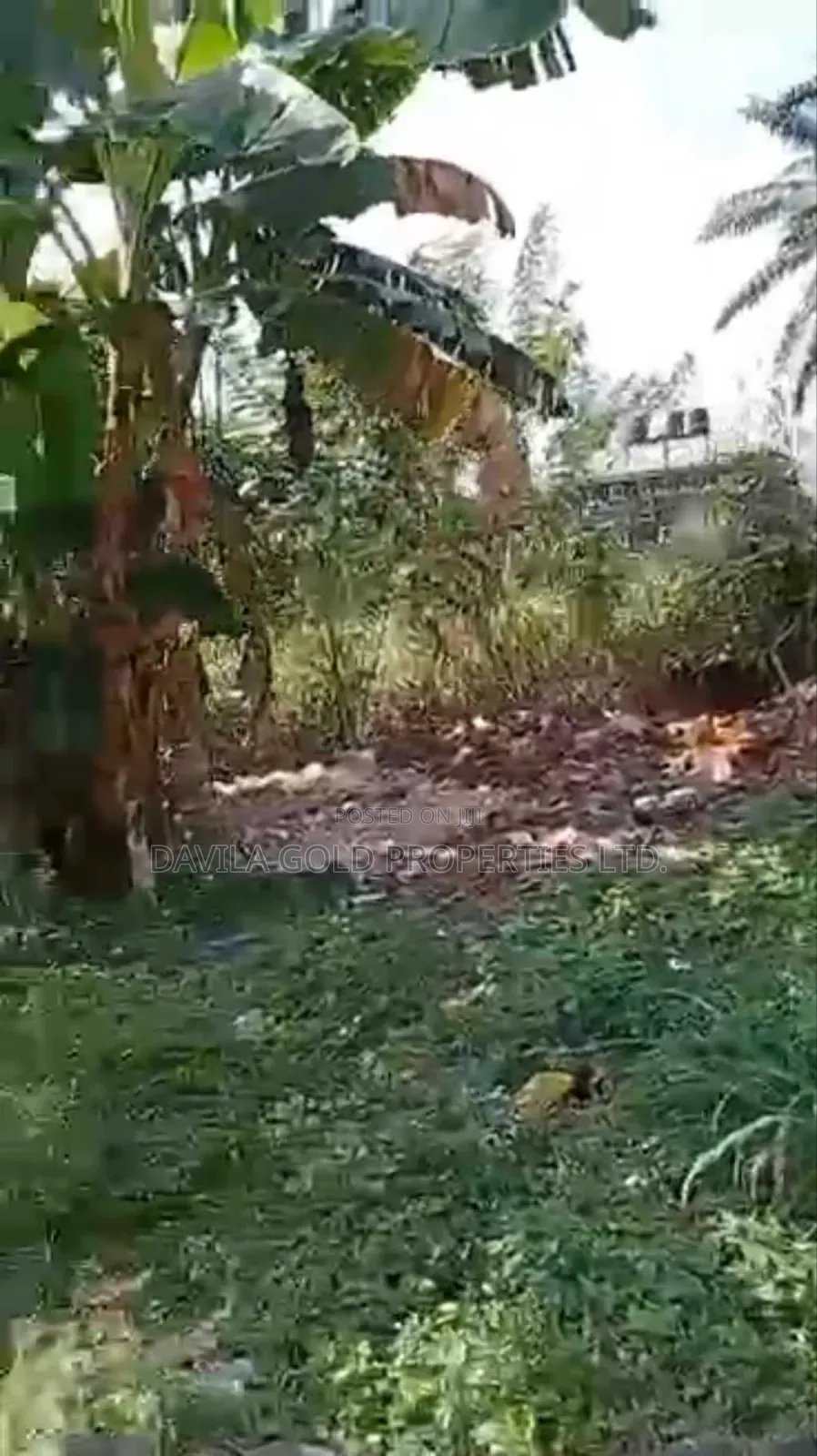 Ikpokpan Avenue Land for Sale in Benin City