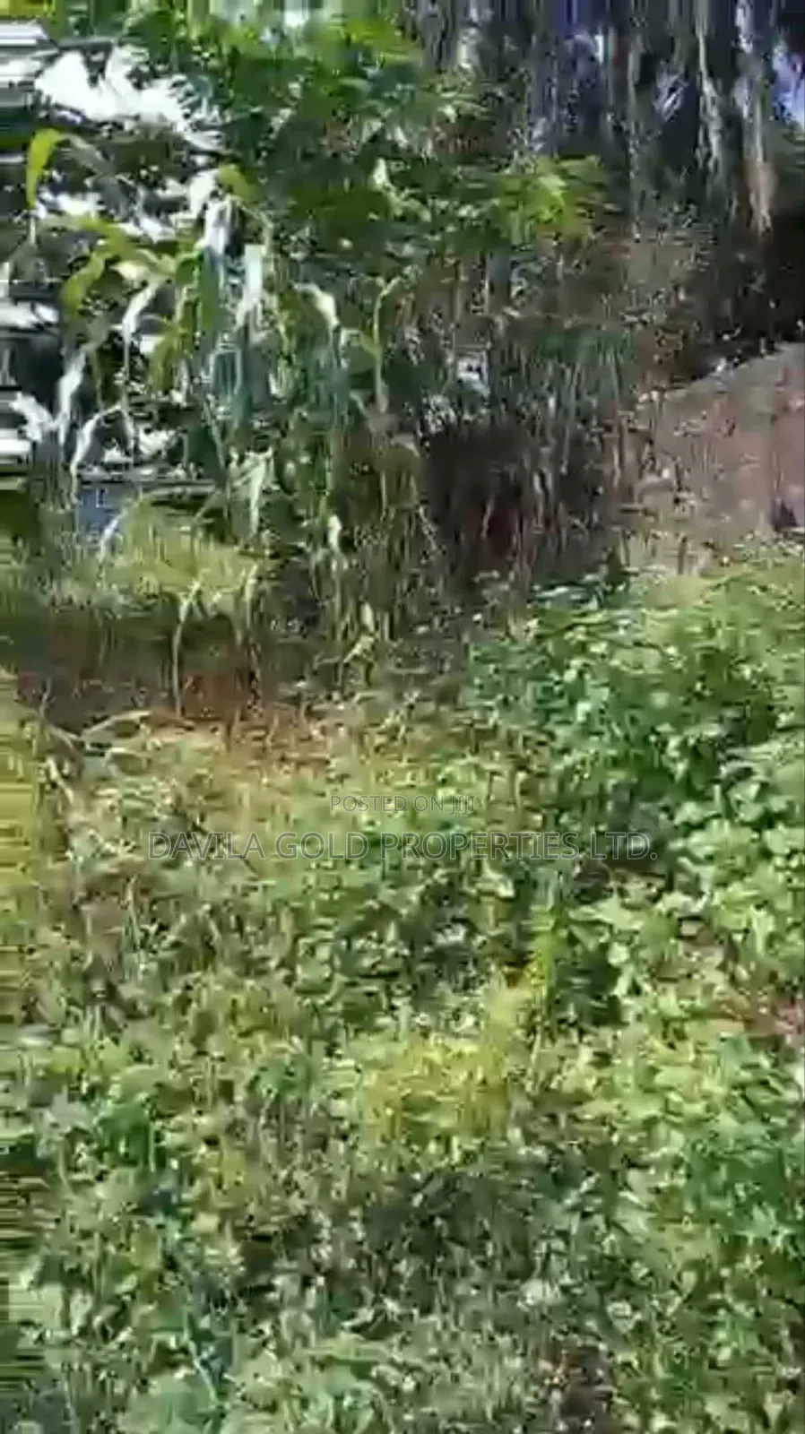 Ikpokpan Avenue Land for Sale in Benin City