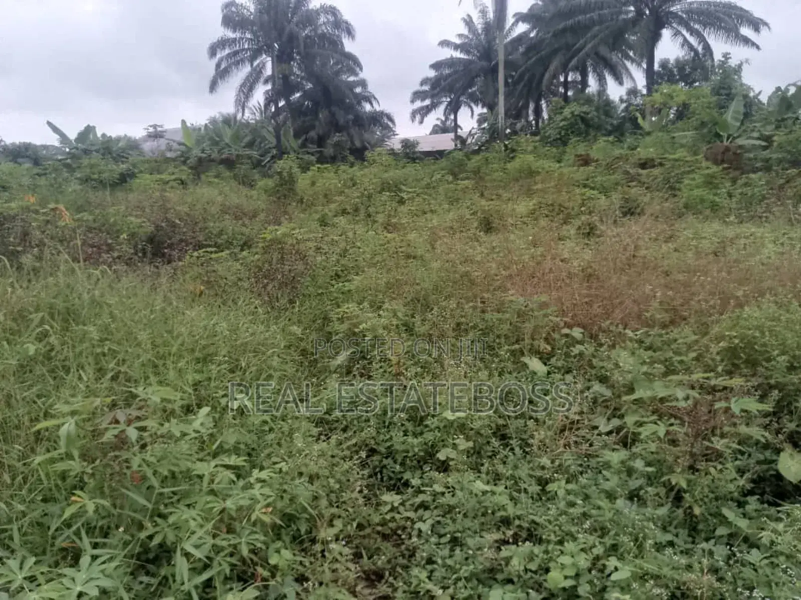Land For Sale in Uyo