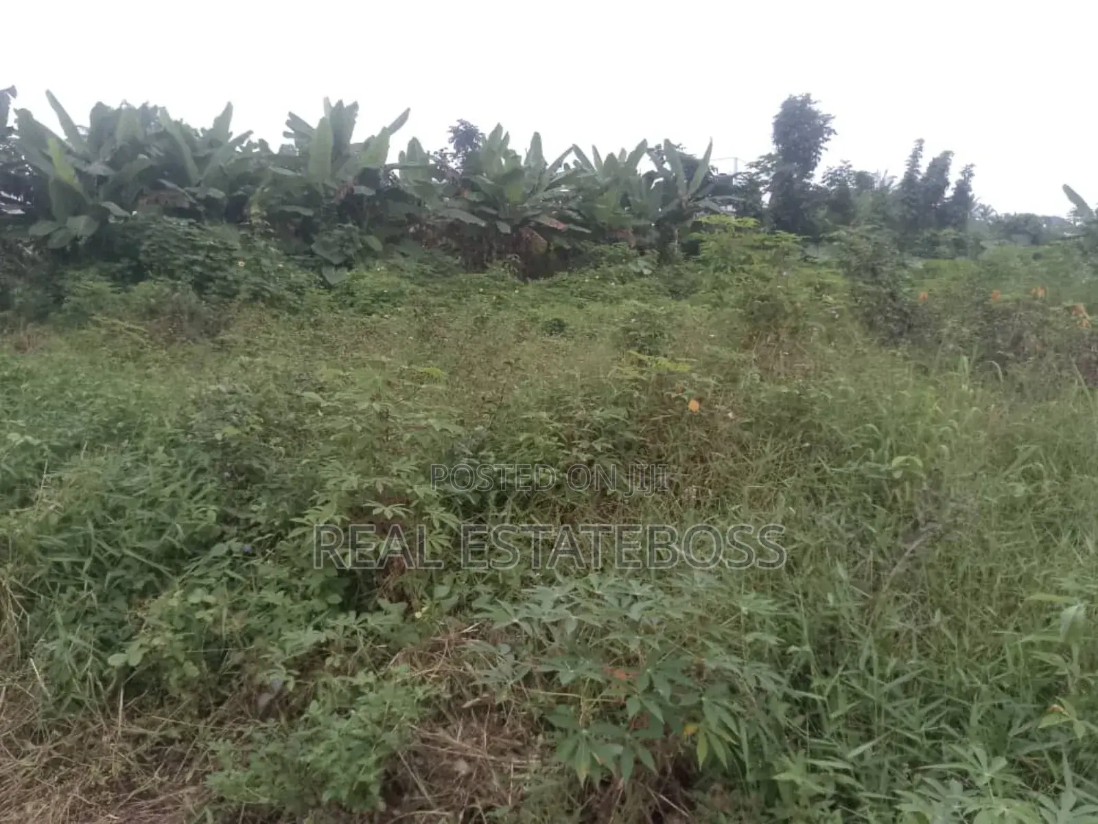 Land For Sale in Uyo
