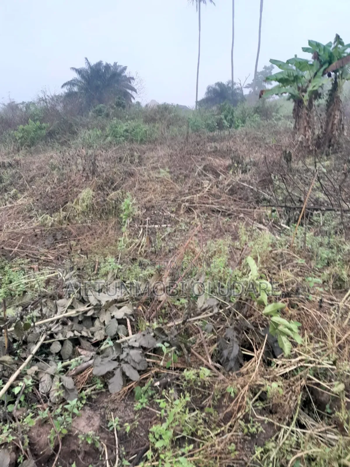 1 Plot at Idi Agba Ado Ekiti in Ado Ekiti