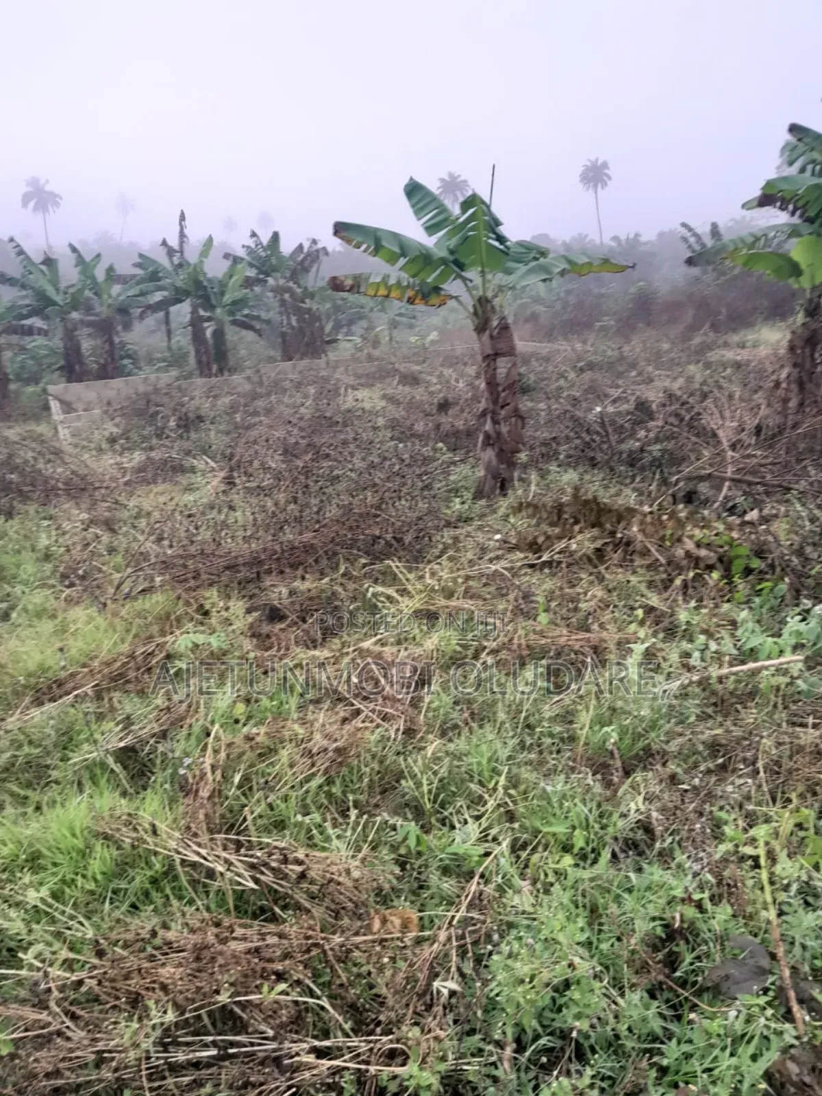 1 Plot at Idi Agba Ado Ekiti in Ado Ekiti