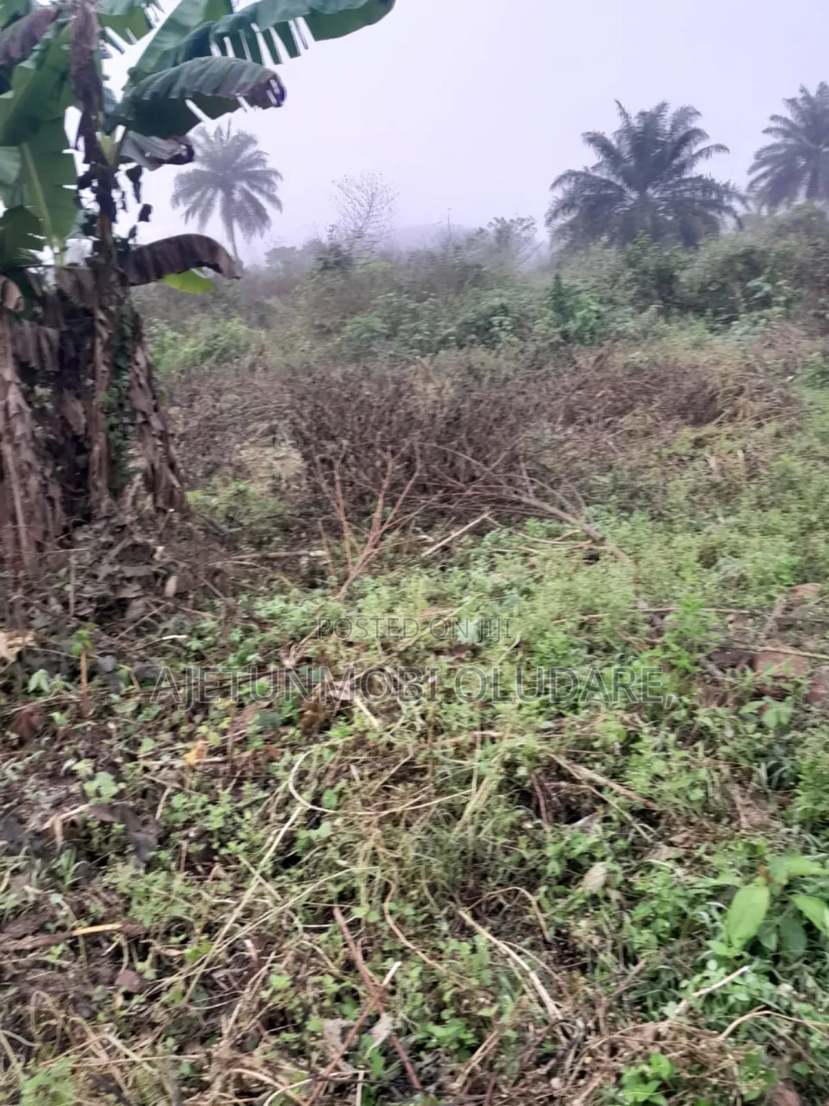 1 Plot at Idi Agba Ado Ekiti in Ado Ekiti